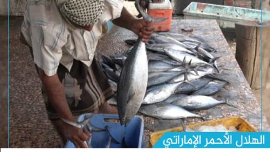 صورة “الهلال” تفتتح مؤسسة للإنزال السمكي في الساحل الغربي لليمن