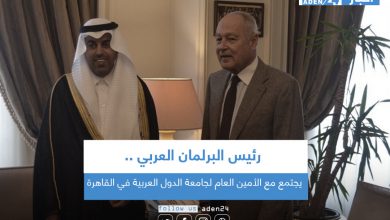 صورة رئيس البرلمان العربي يجتمع مع الأمين العام لجامعة الدول العربية في القاهرة