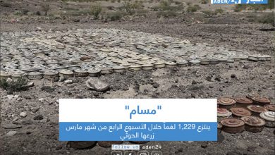 صورة “مسام” ينتزع 1,229 لغماً خلال الأسبوع الرابع من شهر مارس زرعها الحوثي