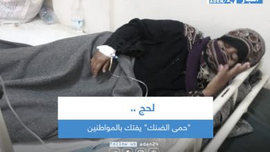 صورة “حمى الضنك” يفتك بالمواطنين في لحج