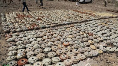 صورة المشروع السعودي لنزع الألغام في اليمن نزع 795 لغماً حوثياً خلال أسبوع