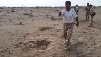 صورة القوات المشتركة: اكتشاف وتفكيك أكبر حقل ألغام حوثي في الحديدة