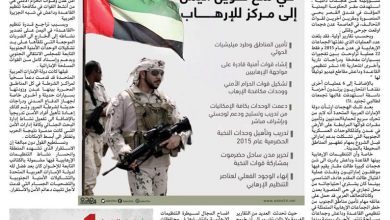 صورة #تقرير_خاص | دور الإمارات العربية المتحدة في مكافحة الإرهاب وتأمين الاستقرار في الجنوب والمنطقة