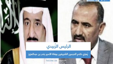 صورة الرئيس الزُبيدي يُعزي خادم الحرمين الشريفين بوفاة الأمير بندر بن عبدالعزيز