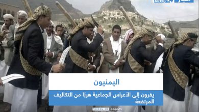 صورة اليمنيون يفرون إلى الأعراس الجماعية هربًا من التكاليف المرتفعة