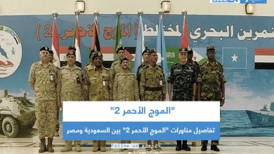 صورة تفاصيل مناورات “الموج الأحمر 2” بين السعودية ومصر