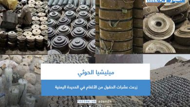صورة ميليشيا الحوثي زرعت عشرات الحقول من الألغام في الحديدة اليمنية