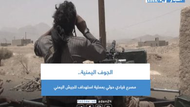 صورة الجوف اليمنية.. مصرع قيادي حوثي بعملية استهداف للجيش اليمني