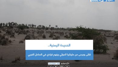 صورة الحديدة اليمنية.. قتلى وجرحى من مليشيا الحوثي بينهم قيادي في الساحل الغربي