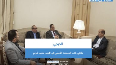 صورة الخبجي يلتقي نائب المبعوث الأممي إلى اليمن معين شريم