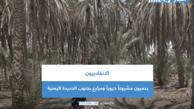 صورة الانقلابيون يدمرون مشروعاً حيوياً ومزارع بجنوب الحديدة اليمنية