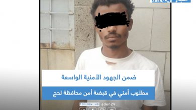 صورة ضمن الجهود الأمنية الواسعة.. مطلوب أمني في قبضة أمن محافظة لحج