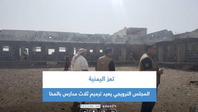 صورة تعز اليمنية: المجلس النرويجي يعيد ترميم ثلاث مدارس بالمخا