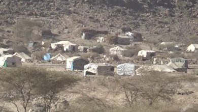 صورة “الأمم المتحدة” 5 آلاف أسرة يمنية نزحت جراء تصاعد القتال في مديرية نهم اليمنية