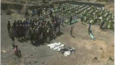 صورة إحصائية تكشف عن عدد قتلى الحوثيين في هذه المحافظات