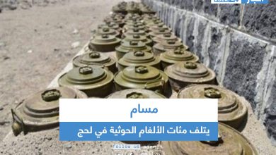 صورة مسام يتلف مئات الألغام الحوثية في لحج