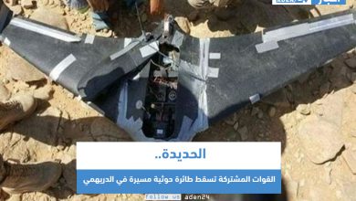 صورة الحديدة .. القوات المشتركة تسقط طائرة حوثية مسيرة في الدريهمي
