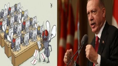 صورة تركيا تجند “ذباب الإخوان” ضد موقف الجزائر حول ليبيا