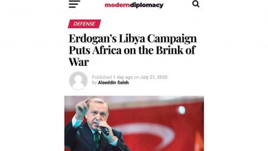 صورة خبراء غربيون: أردوغان مُحاصر في «عنق الزجاجة» الليبية