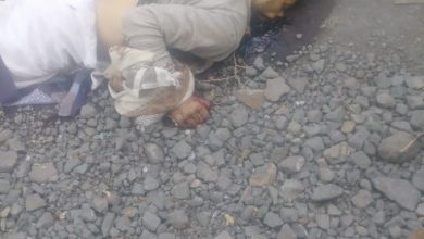 صورة في عملية وحشية..مليشيا الإخوان الإرهابية تذبح نجل قائد عمليات اللواء 35 في تعز 
