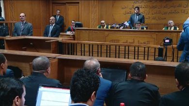 صورة مصر.. لجنة التحفظ تطلب نقل أموال 89 قياديا إخوانيا للدولة