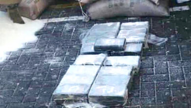 صورة تفاصيل جديدة حول شحنة المخدرات المضبوطة في ميناء عدن