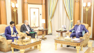 صورة الرئيس الزُبيدي يبحث مع السفير المصري تعزيز حماية باب المندب ومكافحة الإرهاب