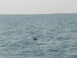 صورة #التحالف يدمر ألغام بحرية للحوثيين جنوب البحر الأحمر