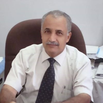 محمود السالمي