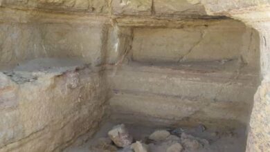 صورة اكتشاف مقبرة أثرية عمرها 2500 عام في #حضرموت