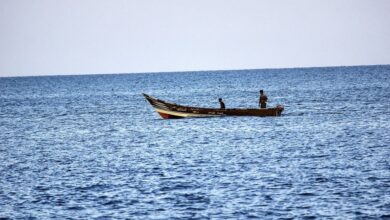 صورة الأمم المتحدة تطلق مشروعًا لدعم الصيادين في عدن وحضرموت