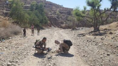 صورة انتزاع عشرات الألغام الحوثية في المناطق المحررة غربي #تعز اليمنية