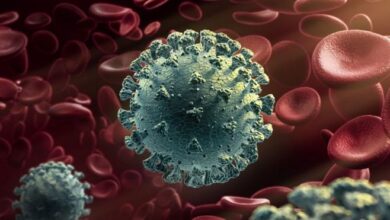 صورة تسجيل 24 إصابة جديدة بفيروس كورونا في وادي حضرموت
