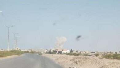 صورة مليشيات الحوثي الإرهابية تحرق مزارع ومنازل المواطنين غرب مديرية قعطبة