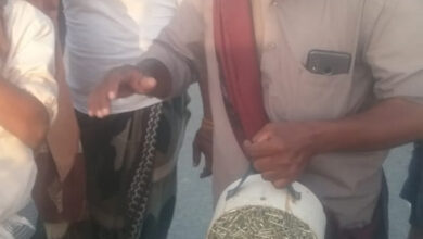 صورة الحزام الأمني بأحور يفكك عبوة ناسفة زرعت على الخط العام للمديرية