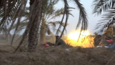 صورة مصرع وجرح عدد من مليشيا الحوثي بنيران القوات المشتركة جنوب الحديدة