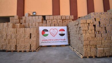 صورة مصر ترسل 65 طنًا من الأدوية والمستلزمات الطبية إلى قطاع غزة
