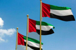صورة دولة الإمارات تفوز بالعضوية الغير دائمة بمجلس الأمن الدولي