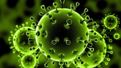 صورة الصحة تعلن عن 33 حالة اشتباه بفيروس كورونا منها 8  إصابات مؤكدة