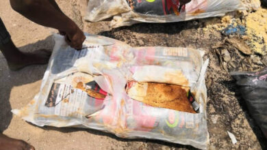 صورة العثور على شحنة أغذية تالفة بميناء عدن .. وهكذا كان مصيرها