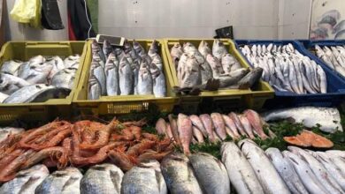صورة الوزير السقطري يوجّه بتنظيم آلية تسويق المنتجات السمكية محلياً وخارجياً