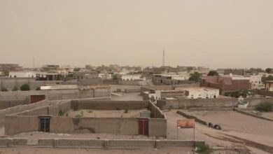 صورة مليشيا الحوثي تستهدف منازل ومزارع المواطنين في التحيتا