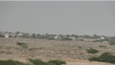 صورة مليشيا الحوثي تقصف بقذائف المدفعية مساكن المواطنين في الجاح