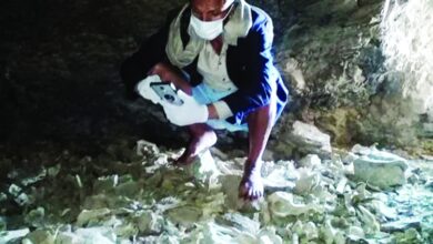 صورة العثور على مقبرة جماعية تضم رفات 50 شخصًا في إب اليمنية