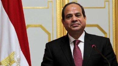 صورة الرئيس المصري يصادق على قانون فصل الإخوان من وظائفهم