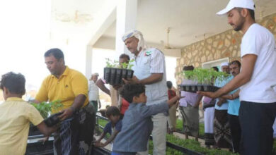 صورة توزيع 20 ألف شتلة زراعية على المستفيدين في سقطرى