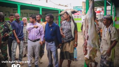صورة مدير عام الشيخ عثمان يواصل حملة ضبط أسعار اللحوم والأسماك في المديرية