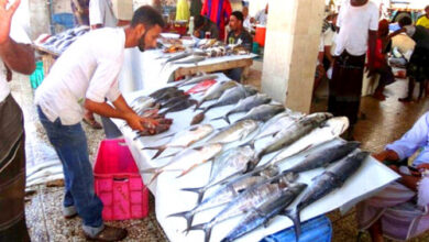 صورة أسعار اللحوم والأسماك اليوم الأحد في العاصمة عدن