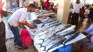 صورة تحذير هام لبائعي #الأسماك في العاصمة #عدن