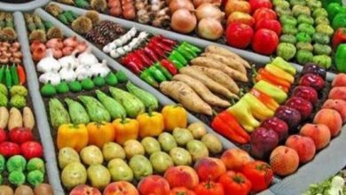 صورة إصدار تسعيرة إلزامية للخضروات والفواكه في العاصمة عدن